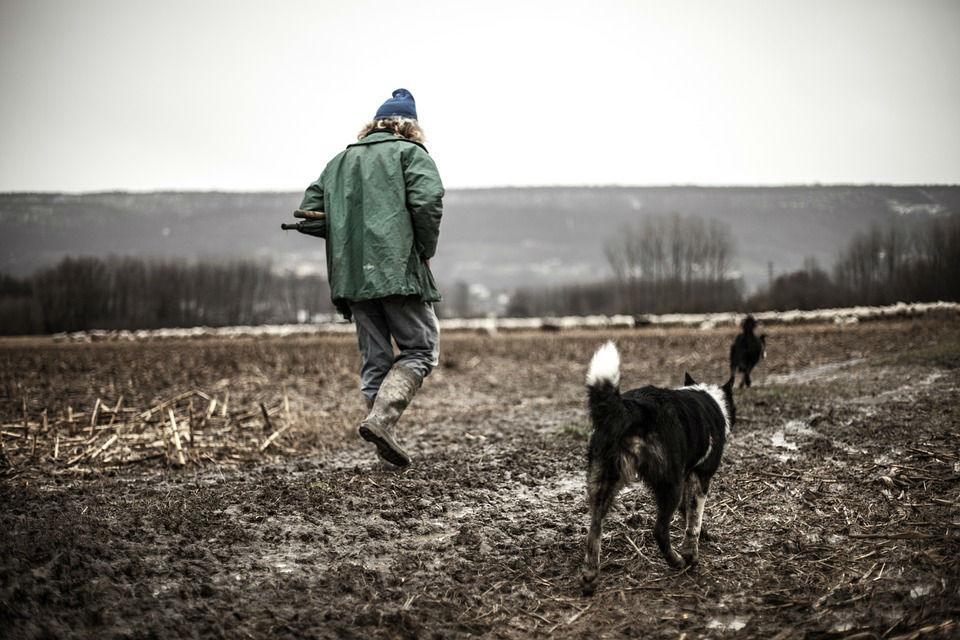 Comment exercer le métier de garde chien ?