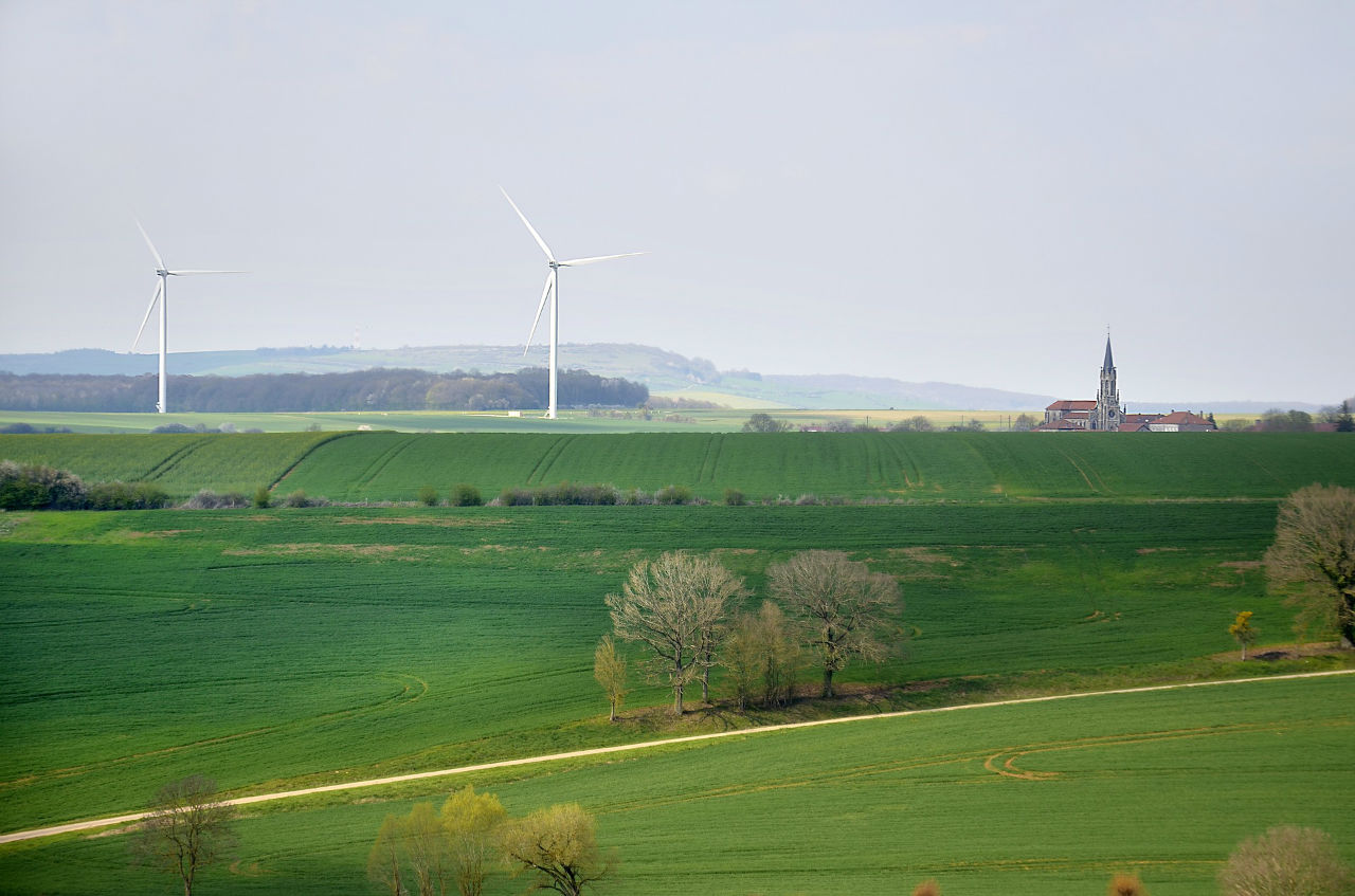 Tout savoir sur les métiers et formations du développement durable