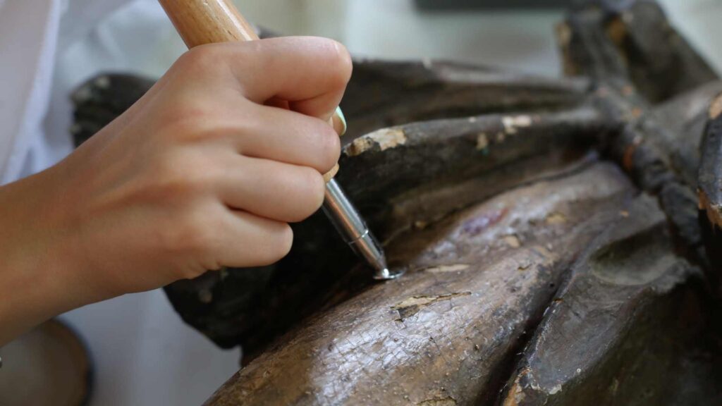 Attaché de conservation du patrimoine