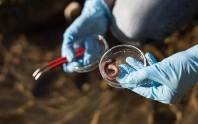 Zoologiste : missions, formations et salaire