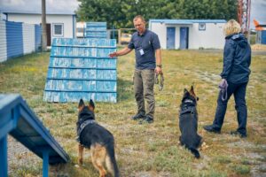 formation maitre chien